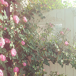 玄関/入り口/rose/薔薇が好き♡/薔薇のある暮らし/ステンドグラス...などのインテリア実例 - 2022-05-08 09:03:52