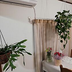 壁/天井/エアコン周り/観葉植物のある暮らし/花のある暮らし/ひとり暮らし...などのインテリア実例 - 2023-05-14 22:25:59