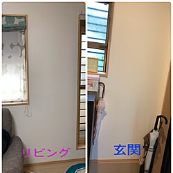 部屋全体/白井産業トイコスモニター応募/もっとオシャレにしたい♡/いつも良いねありがとうございます/ヨーキー&マルチ大好き☆...などのインテリア実例 - 2018-05-08 11:57:07