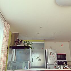壁/天井/観葉植物のインテリア実例 - 2015-10-17 10:55:35