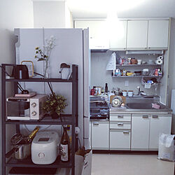 キッチン/IKEA/入居したて/一人暮らし/フェイクグリーン...などのインテリア実例 - 2022-02-21 22:14:03
