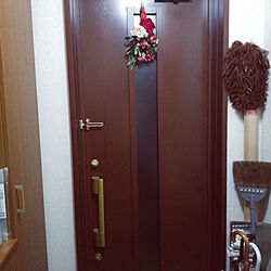 わが家のドア/トステム玄関ドアのインテリア実例 - 2023-01-31 22:55:01