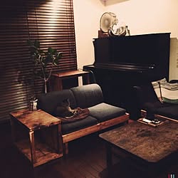 部屋全体/DIY/植物/猫/アンティーク...などのインテリア実例 - 2014-02-03 23:53:08