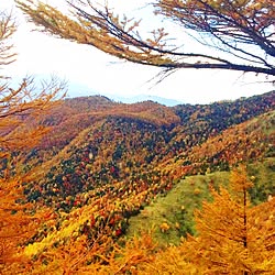 玄関/入り口/自然/紅葉/秋山/登山...などのインテリア実例 - 2015-10-22 20:33:15