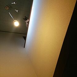 壁/天井/吹き抜け/ねこのいる風景/ねこのいる日常のインテリア実例 - 2015-12-08 16:39:47