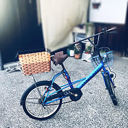 荷台/自転車リメイク/自転車/ダイソー/ワイヤーバスケット...などのインテリア実例 - 2022-09-06 21:52:16