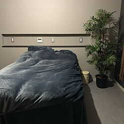 ベッド周り/寝室/Bed Room/寝室インテリア/フェイクグリーンのインテリア実例 - 2021-01-30 23:13:05