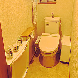 トイレのインテリア/キャンドゥ/フェイクグリーン/IKEA/バス/トイレのインテリア実例 - 2023-02-16 17:15:10