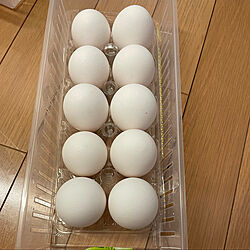 卵ケース型プラケース♪/卵ケース/冷蔵庫収納/キッチンのインテリア実例 - 2022-03-03 21:26:53
