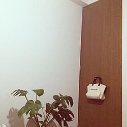 部屋全体/観葉植物のインテリア実例 - 2013-10-24 21:01:23