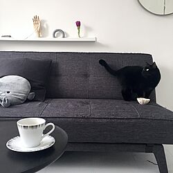 リビング/黒猫/ねこのいる日常/ミニマリスト/IKEA...などのインテリア実例 - 2016-03-16 17:34:33