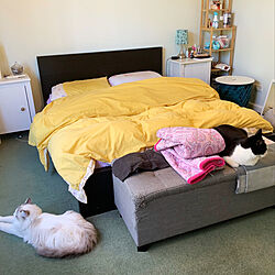 猫/寝室/IKEA/北欧/ベッド周り...などのインテリア実例 - 2019-07-01 16:02:35