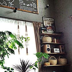 壁/天井/かご/棚/DIY/植物達...などのインテリア実例 - 2014-07-23 17:09:30