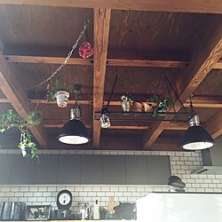 キッチン/吊るし観葉植物/吊るして飾る/バイロンランプのインテリア実例 - 2015-12-16 08:34:43