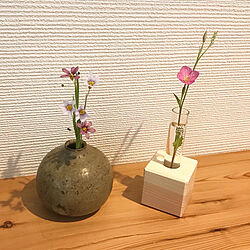 花瓶/花のある暮らし/雑草を飾る/野草を飾る/机のインテリア実例 - 2020-05-08 08:50:54