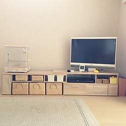 リビング/テレビボード/建売/建売住宅/100均...などのインテリア実例 - 2017-04-27 19:19:12