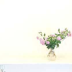 玄関/入り口/花のある暮らし/野花/空き瓶 再利用のインテリア実例 - 2016-07-14 15:18:53