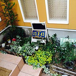 玄関/入り口/植物のインテリア実例 - 2014-06-12 17:18:48