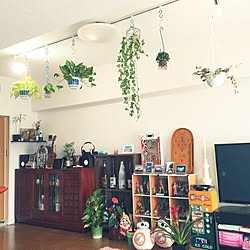 部屋全体/植物/グリーンのある暮らし/いつもいいねありがとうございます♪/スポット照明...などのインテリア実例 - 2016-06-04 16:12:36