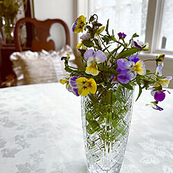 切り戻しビオラを花瓶へ/気分転換/お花を飾る/お花大好き♡/切り戻したお花...などのインテリア実例 - 2022-06-09 14:56:20