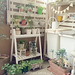 棚/salut!/癒し♡/みどりの雑貨屋さん/観葉植物...などのインテリア実例 - 2015-11-19 19:59:49