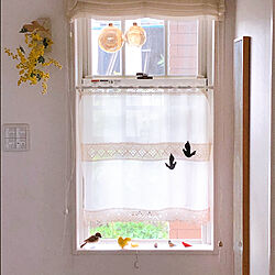 窓/とり/鳥/壁/天井のインテリア実例 - 2020-08-28 12:31:09