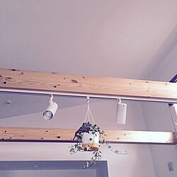吊り下げ/観葉植物/壁/天井のインテリア実例 - 2015-03-01 10:11:31