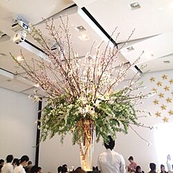 結婚式/桜のインテリア実例 - 2013-03-30 20:41:20