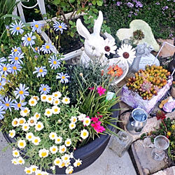 部屋全体/4月の庭/お庭のお花♡/しょくぶつのある暮らし/駐車場からお庭へ‥…...などのインテリア実例 - 2021-04-05 23:45:04