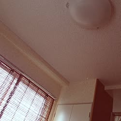壁/天井のインテリア実例 - 2013-02-04 14:54:04