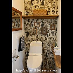 トイレ/トイレの壁/壁紙/ねこ/猫のいる日常...などのインテリア実例 - 2017-05-19 12:39:38