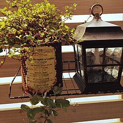 玄関/入り口/リメイク/植物/セリア/ニトリのライトのインテリア実例 - 2014-05-09 09:25:12