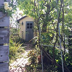 DIY/植物/ランタン/ジャンク/DIY小屋...などのインテリア実例 - 2016-04-15 08:56:03