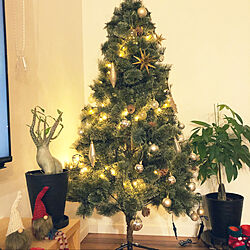 クリスマスツリー150cm/クリスマスオーナメント/クリスマス雑貨/クリスマスツリー/クリスマス...などのインテリア実例 - 2020-11-12 10:49:39