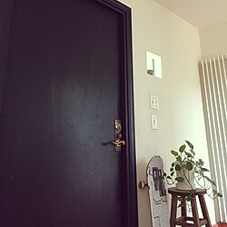 玄関/入り口/ガラスブロック/観葉植物/漆喰/IKEAのインテリア実例 - 2016-05-15 15:07:22