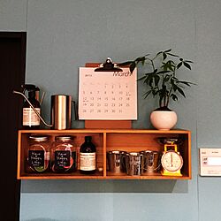キッチン/壁に付けられる家具/盆栽パキラ/カレンダー/はがせる壁紙RILM...などのインテリア実例 - 2017-02-16 17:06:56