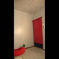 DIY イメチェン/壁/天井のインテリア実例 - 2017-02-08 03:12:11