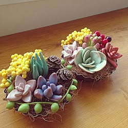 棚/樹脂粘土の多肉植物/ハンドメイド/minneで販売、陽だまりの庭で検索のインテリア実例 - 2014-07-03 12:49:58