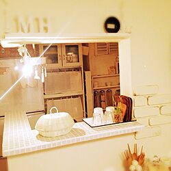 キッチン/100均ﾘﾒｲｸ/DIY/植物/生活感のインテリア実例 - 2014-03-07 20:27:33