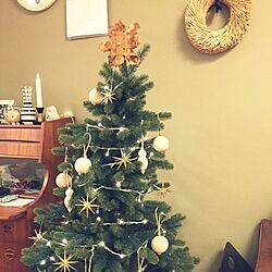 リビング/ベツレヘムの星/IKEA/クリスマスツリー/白樺のインテリア実例 - 2016-11-23 22:21:46