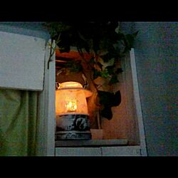ダイソー/ライト/植物/壁/天井/キャンドゥ...などのインテリア実例 - 2015-07-02 23:50:38