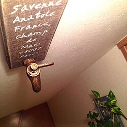 壁/天井/ポトス/植物/salut!/階段の壁...などのインテリア実例 - 2013-11-09 19:58:19