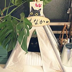 部屋全体/テントDIY/100均/癒し/猫...などのインテリア実例 - 2023-10-29 17:33:04