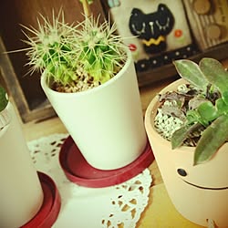 リビング/カフェ風/雑貨/観葉植物のインテリア実例 - 2015-08-18 20:42:29