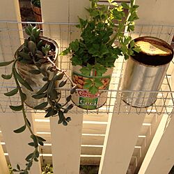 玄関/入り口/庭/雑貨/DIY/植物...などのインテリア実例 - 2013-04-09 17:41:59