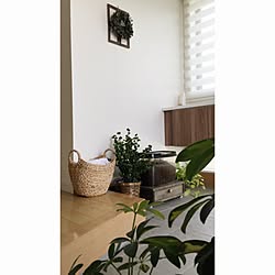 玄関/入り口/植物/DIY/いいね、フォロー本当に感謝です♡/こどもと暮らす。...などのインテリア実例 - 2016-06-01 10:47:25