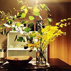 キッチン/花のある暮らし/ダイニングテーブルのインテリア実例 - 2016-11-27 20:35:07