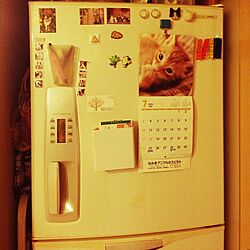 キッチン/ナショナルの冷蔵庫/冷蔵庫のインテリア実例 - 2016-07-25 22:17:48