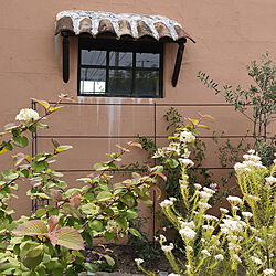玄関/入り口/手作りの庭/ガーデンフェンスのインテリア実例 - 2022-05-05 19:52:59