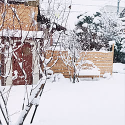 部屋全体/植物たち 心配/雪景色/ベンチ/裏庭...などのインテリア実例 - 2018-01-30 08:27:13